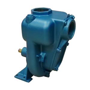 POMPE AA12PL ARBRE NU