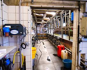 KIT BRUM 15 BUSES MODEL 2021