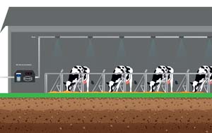 KIT BRUM 15 BUSES MODEL 2021