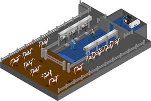 STAT LAVAGE TRI IBC PRESSCON