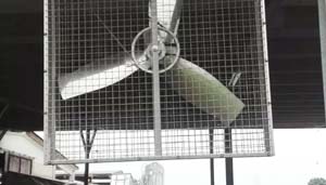 KIT VENTILATEUR TRI PETIT BAT