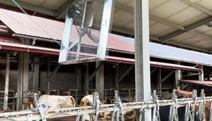 KIT VENTILATEUR TRI PETIT BAT