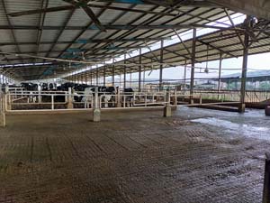 KIT VENTILATEUR WR3000