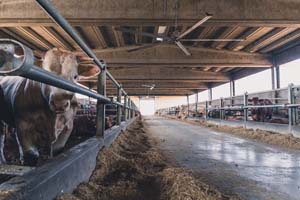 KIT VENTILATEUR WR3000