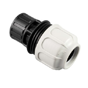 BDFAST FEMELLE 1’’1/2 x 40