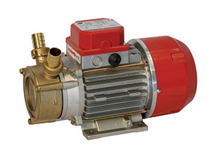 GPE NU 12V AUTO-AMORC 30L/MIN