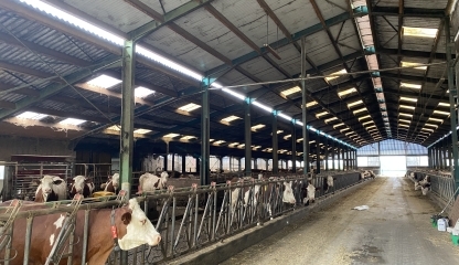 GAEC de Chastanier -  43260 SAINT HOSTIEN