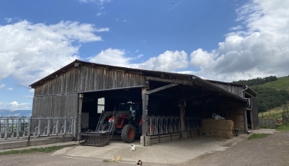 Ferme Les Vaches à Ludo - 42740 SAINT-PAUL-EN-JAREZ