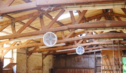 GAEC de Petaloup - 42660 SAINT REGIS DU COIN