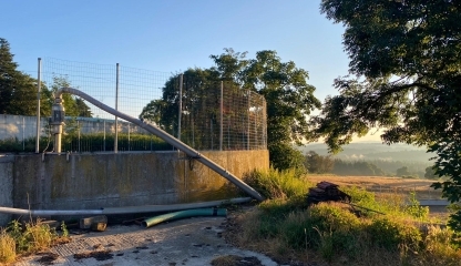 GAEC DES GENETS D’OR - 43190 CHENEREILLES